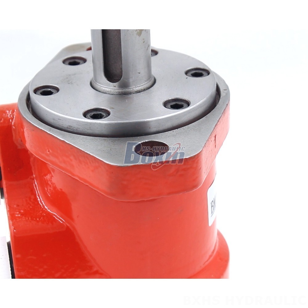 Design Your Own BMR Cycloid Hydraulic Motor: OEM/ODM Welcome detail image
